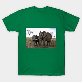 African Elephants T-Shirt